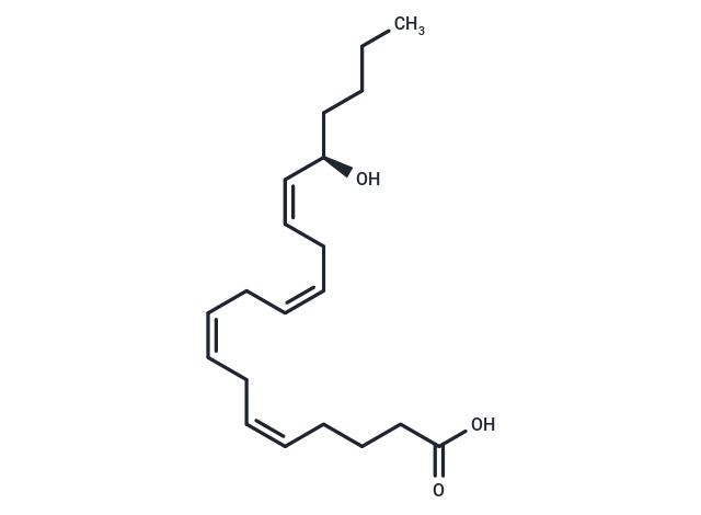 16(R)-HETE