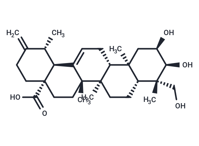 2α,3α,24-Trihydroxyursa-12,20(30)-dien-28-oic acid