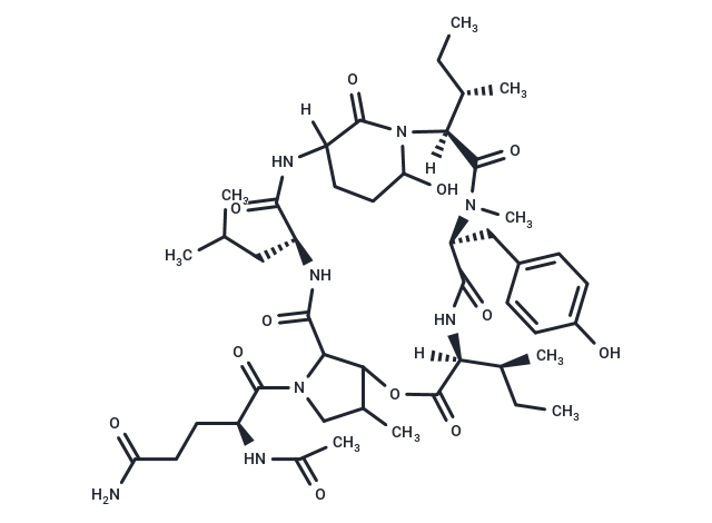 Nostopeptin B