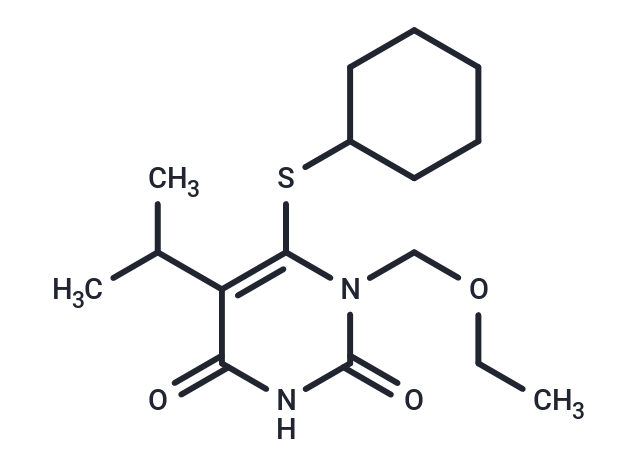 TNK-6123