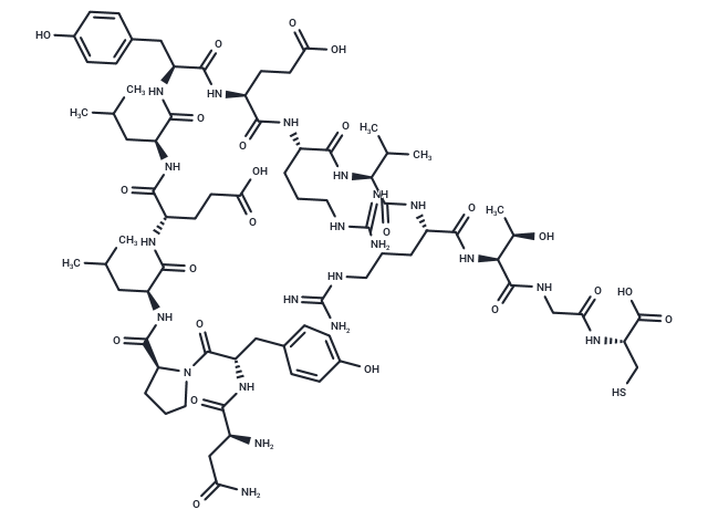 Protein Kinase C γ Peptide