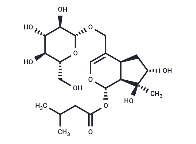 Valerosidate