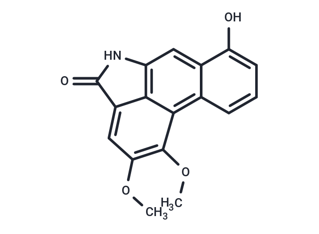 Velutinam