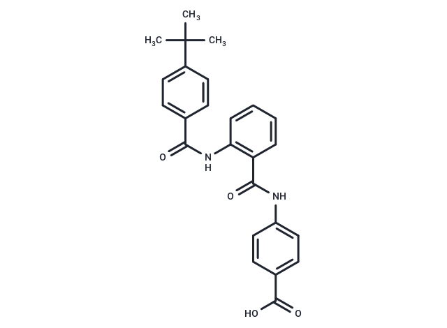 DM175