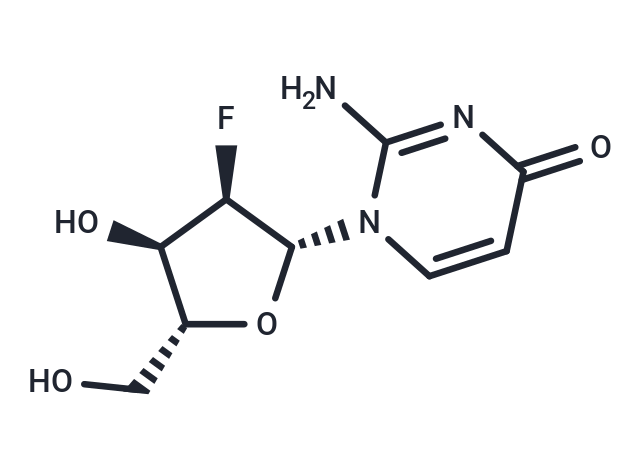 2'-Deoxy-2'-fluoroisocytidine