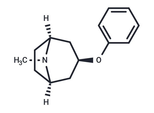 NK-1145