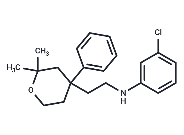 ICMT-IN-25