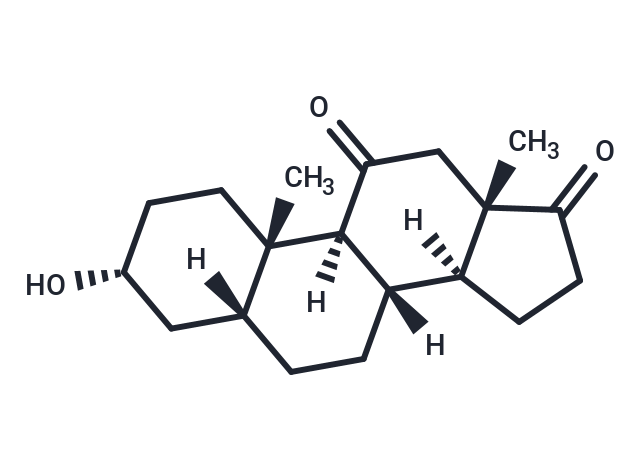 11-Oxo etiocholanolone