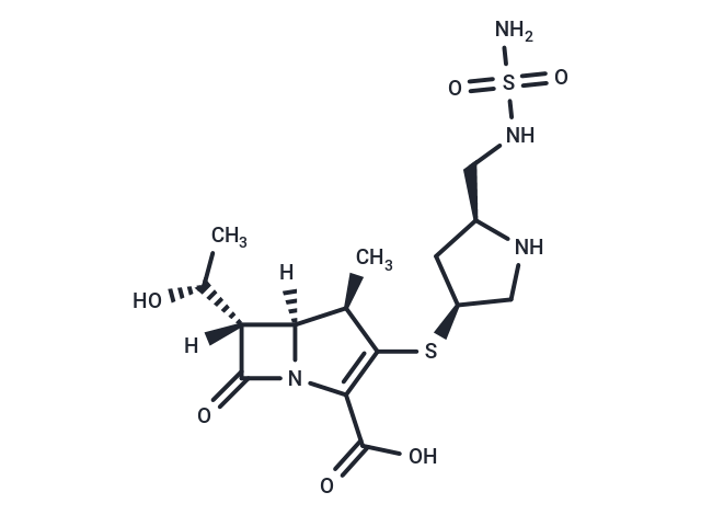 Doripenem