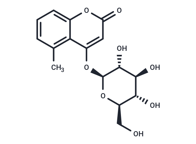 Gerberinside