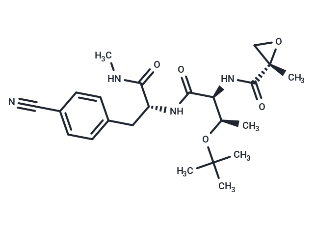 BTK-IN-5