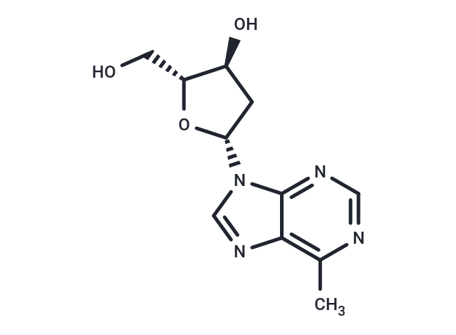 9-(2-Deoxy-β-D-erythropentofuranosyl)-6-methyl-9H-purine