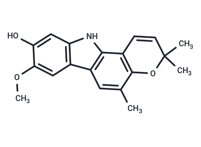 Koenigine