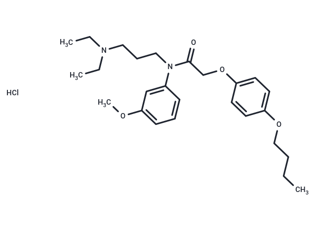 Acetamide, N-(m-anisyl)-2-(p-butoxyphenoxy)-N-(3-(diethylamino)propyl)-, hydrochloride