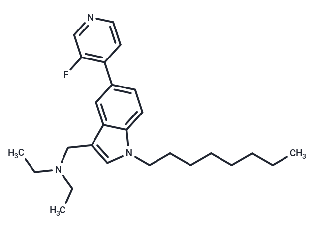 ICMT-IN-53