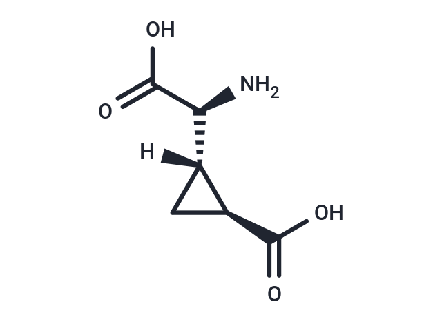 L-CCG-l