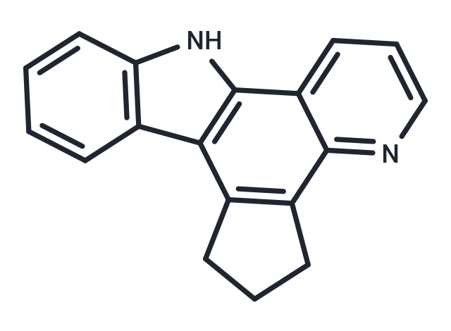 Lys-P-1