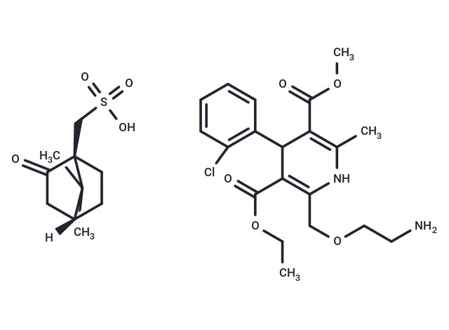 Amlodipine camsylate