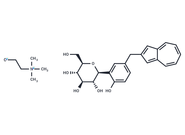 YM-543 choline