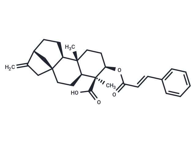 ent-3beta-Cinnamoyloxykaur-16-en-19-oic acid