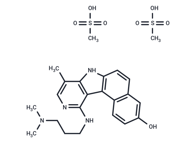 Intoplicine dimesylate