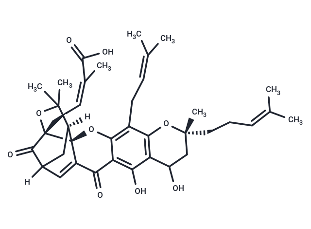 Neogambogic acid