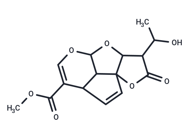 Allamandicin