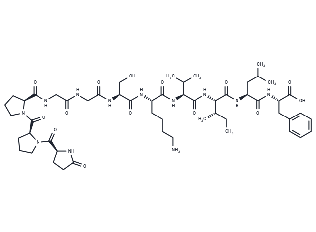 Head activator neuropeptide