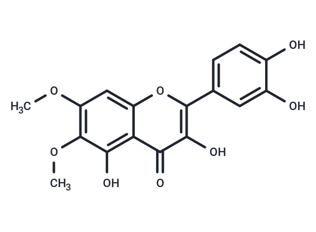 Eupatoletin