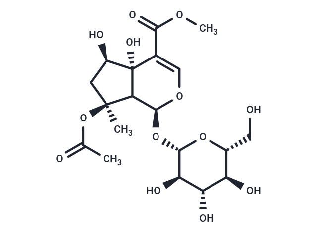 Phlorigidoside B