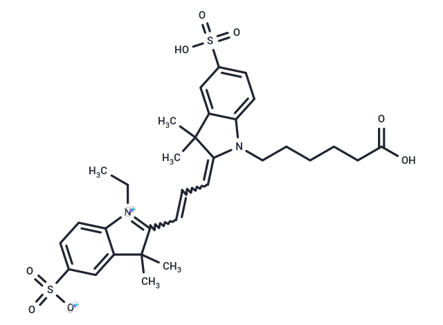 CY3