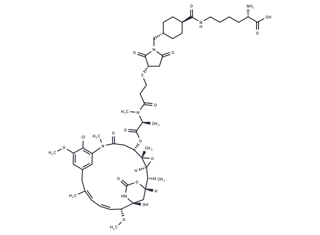 Lys-SMCC-DM1