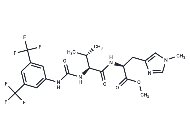 XZH-5