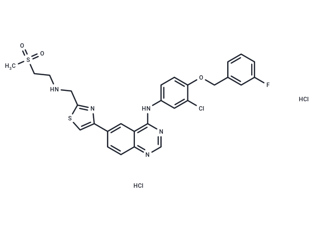 GW 583340 dihydrochloride