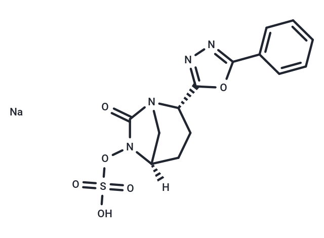 Antibacterial agent 44