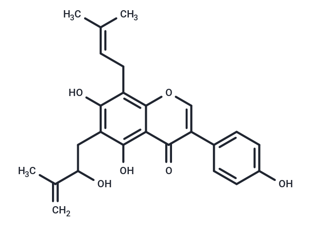 Isoerysenegalensein E