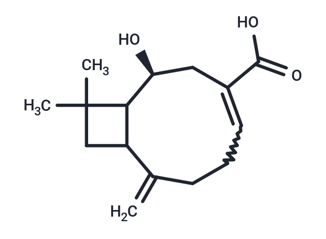 Lychnopholic acid