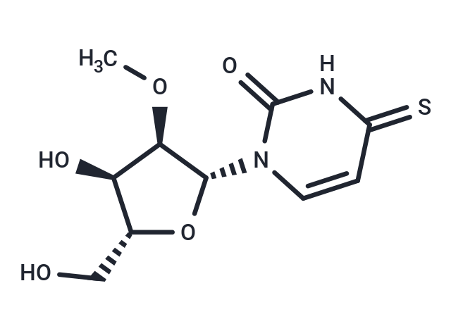 2’-O-Methyl-4-thiouridine