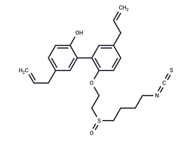 CT1-3