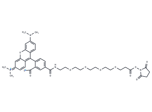 TAMRA-PEG4-NHS ester