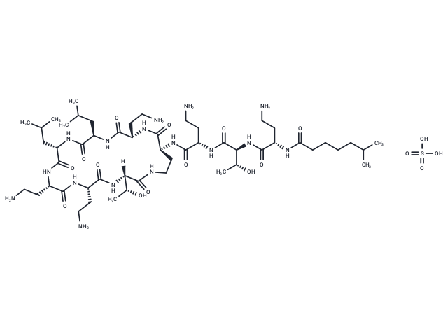 Polymyxin E2 sulfate