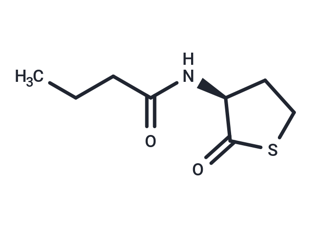 N-butyryl-L-Homocysteine thiolactone