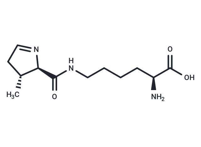 L-Pyrrolysine