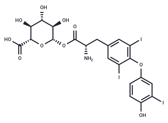 T3 Acyl glucuronide