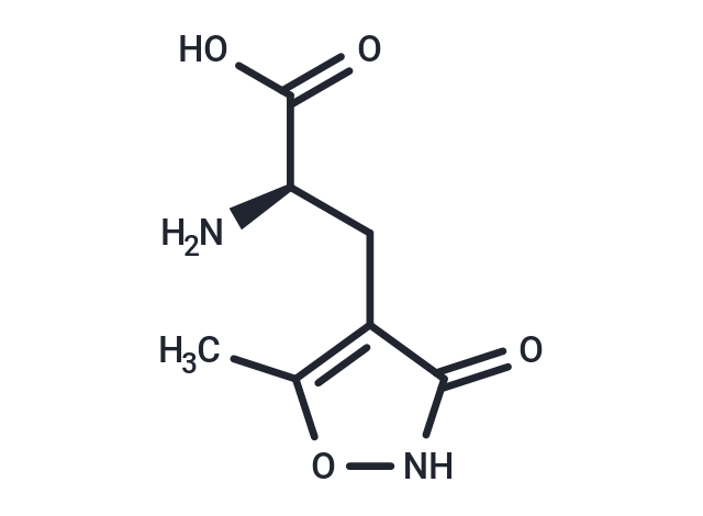 (R)-AMPA