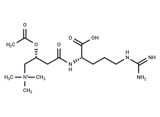 Acetylcarnitine arginyl amide