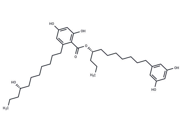 Integracin B