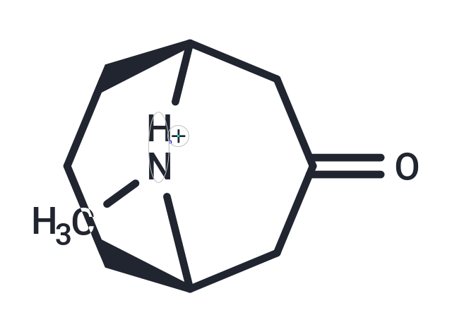 Pseudopelletierine hydrochloride