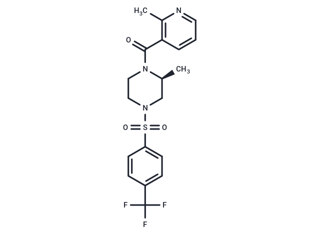 CNV-2197944