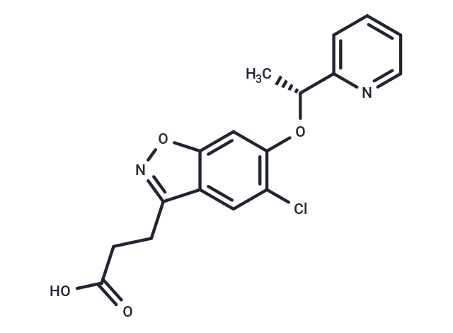 GSK065